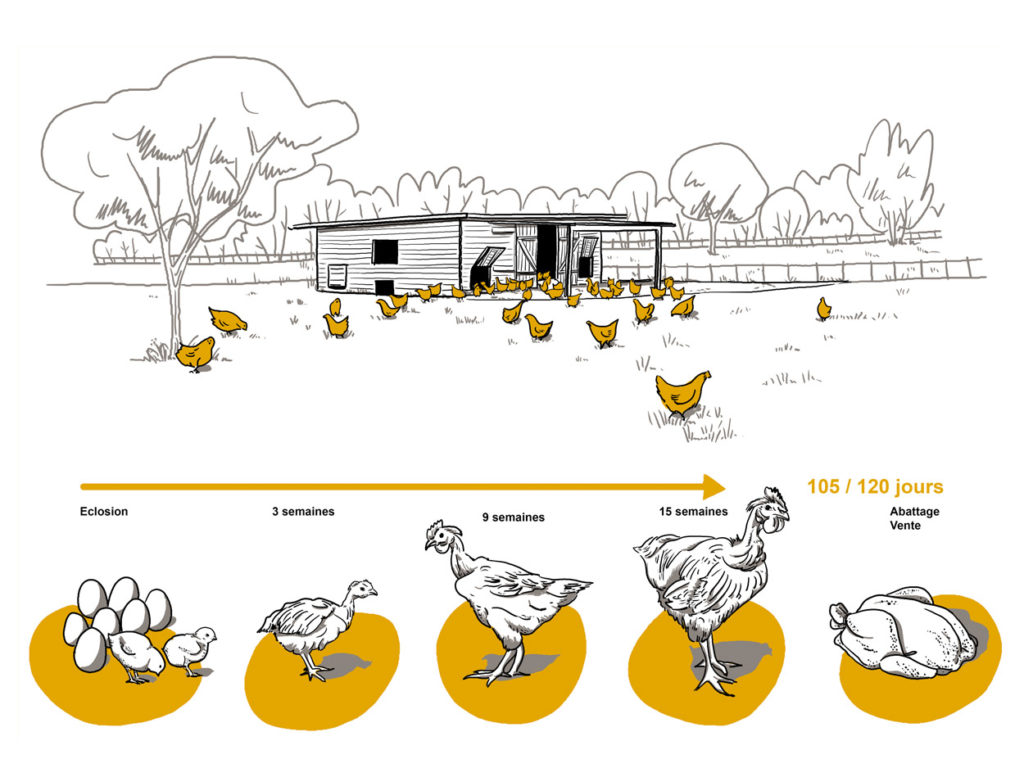 elzeard_fermes-saclay_5